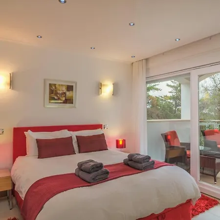 فيلة Cristo Too *